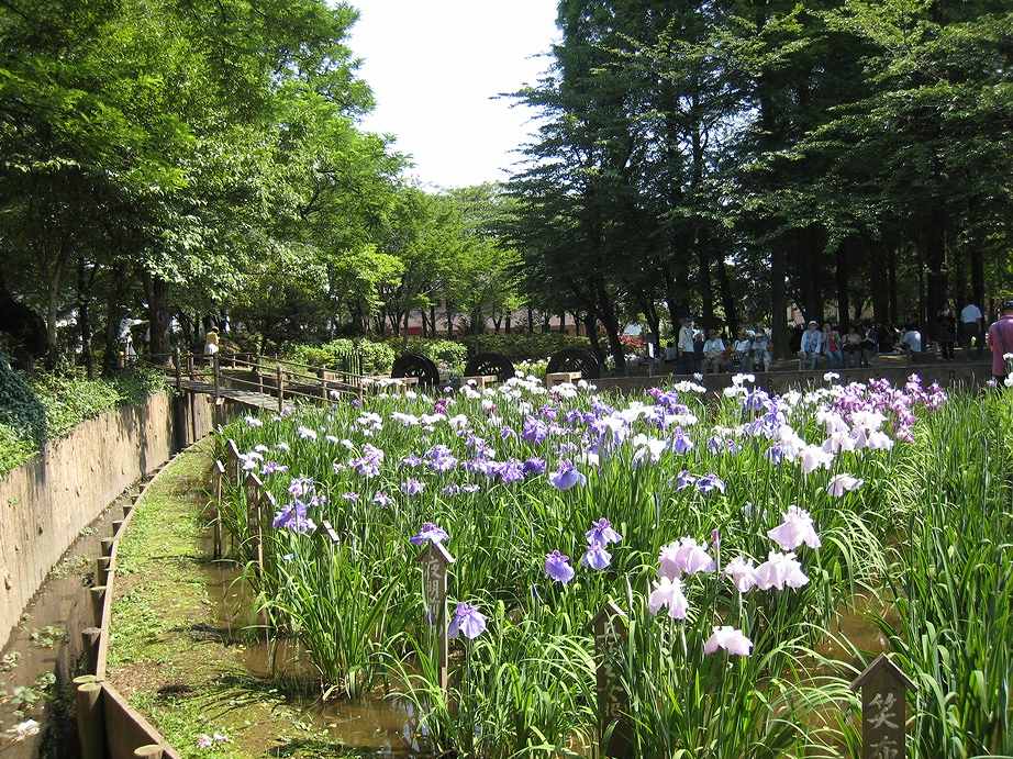 ハイム北綾瀬 しょうぶ沼公園