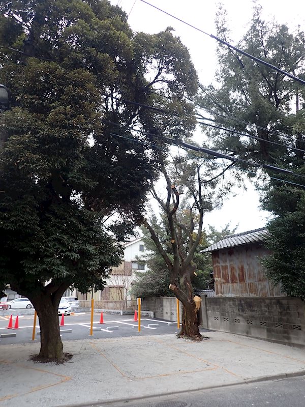 大谷田104-2駐車場 駐車場内には大きな樹木があり、枝や葉っぱの影響がございます。予めご了承ください。